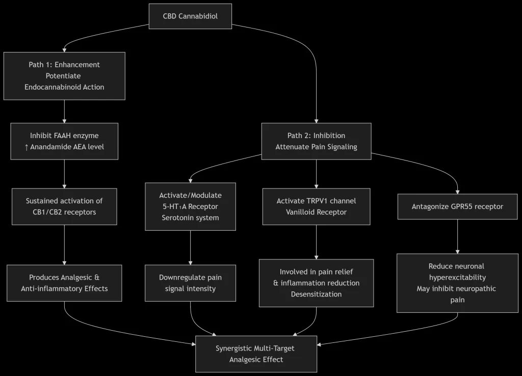 The core mechanism of CBD analgesia